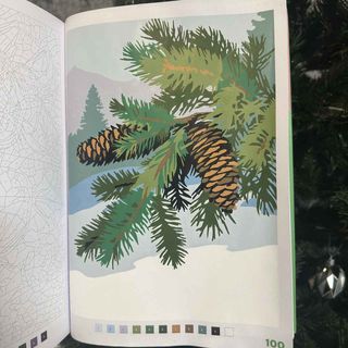 Page 100