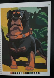 Page 30